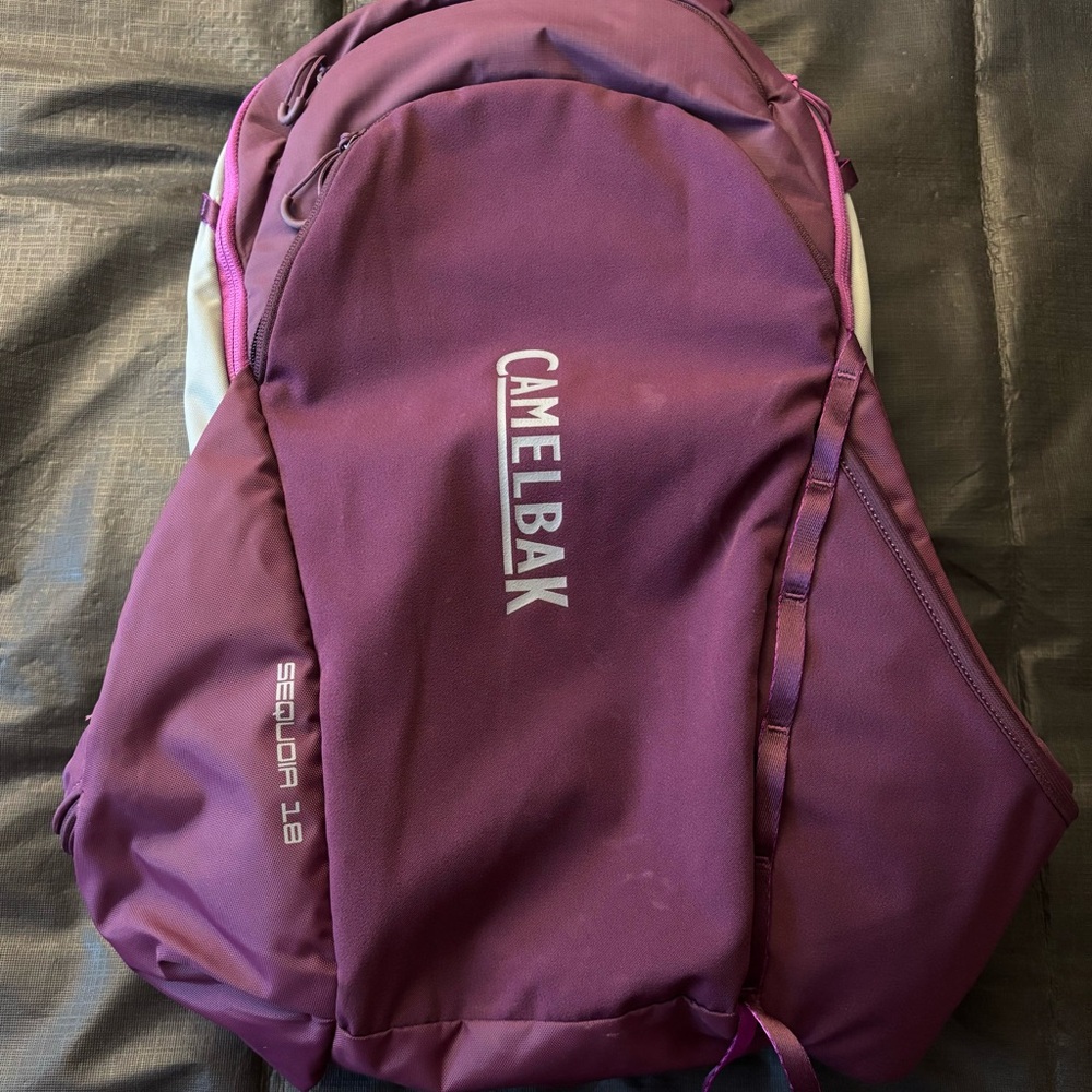 CamelBak Sequoia 18 Purple Backpack